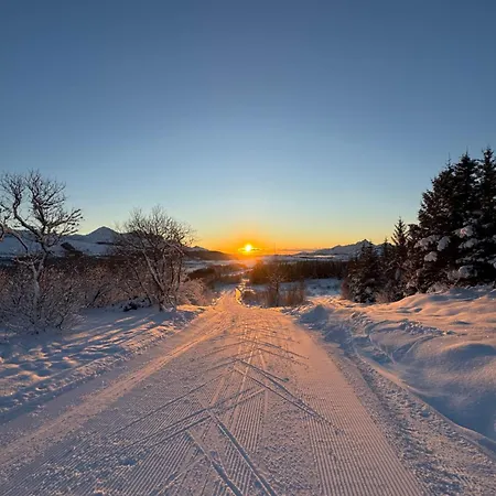 Leilighet Moderne I Lofoten