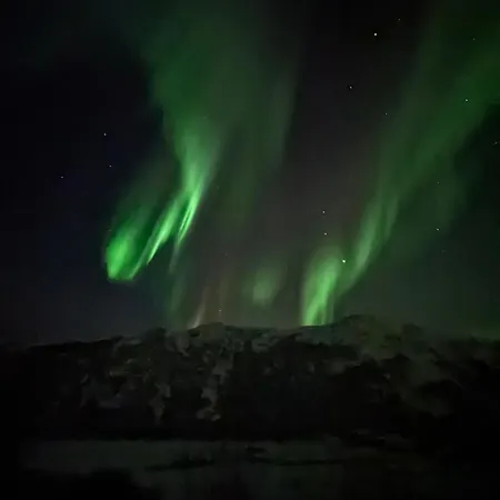 Lejlighed Moderne I Lofoten Leknes